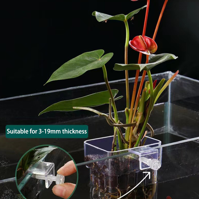 Aquarium Planted Tank - Taza de plantación de hierba de