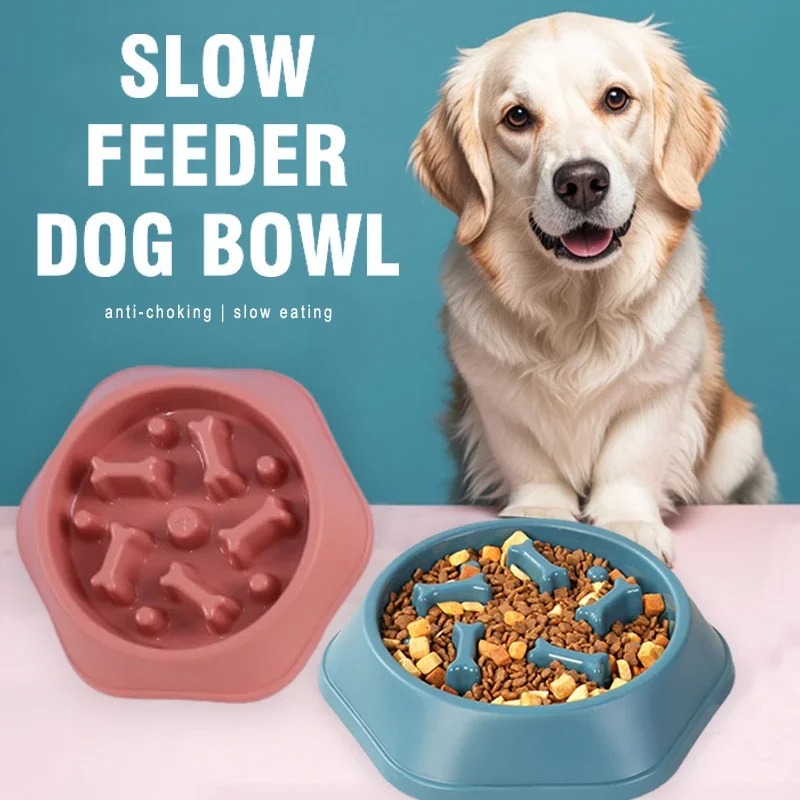 Royal Canin Food Medium - 1 Plato de Alimentación Lenta para