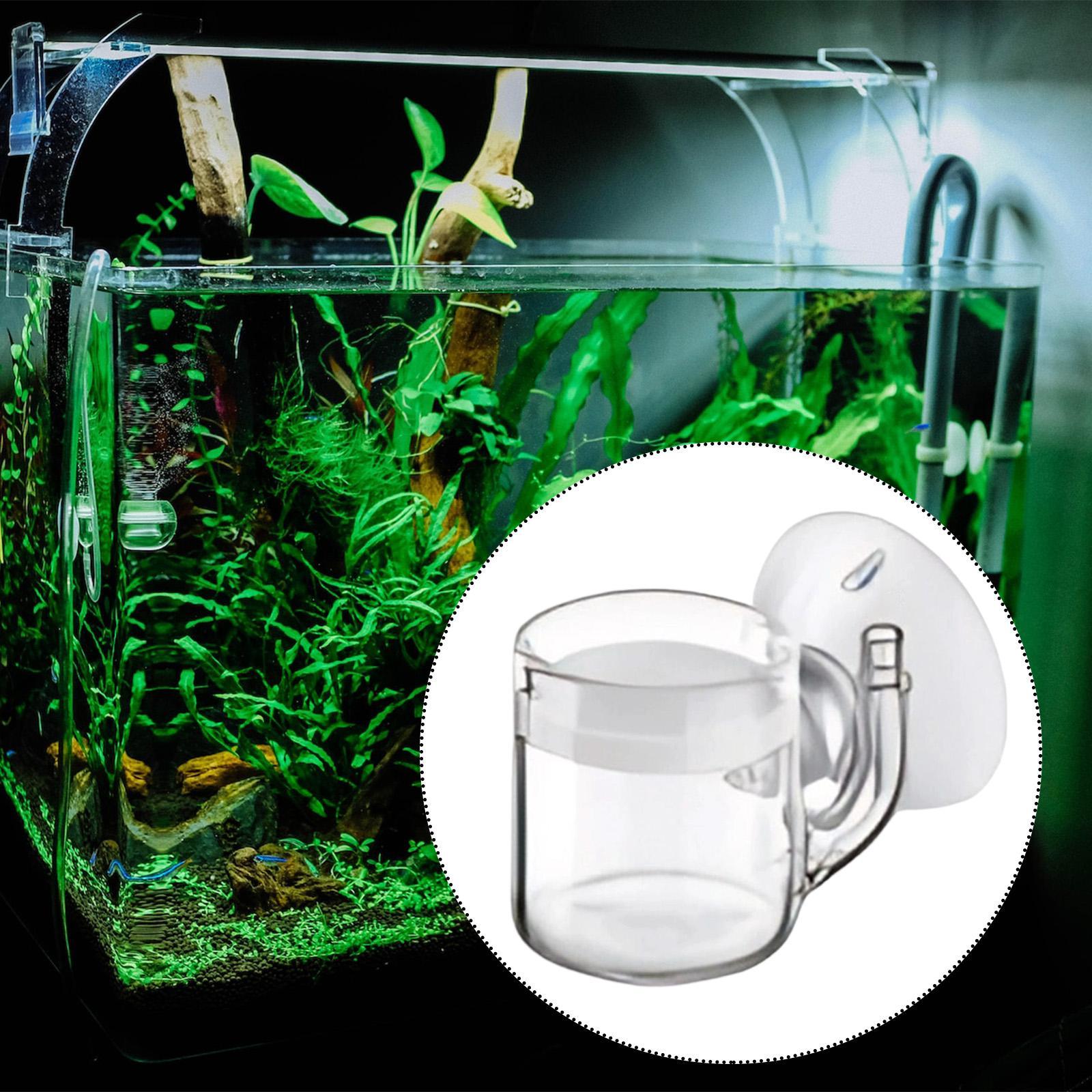 Difusor de Vidrio para Acuario - Planted Aquarium Co2 Kit reseña y precio