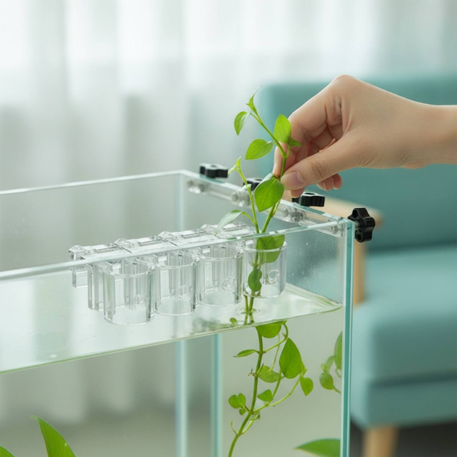 6 Piezas de Soportes Transpare - Aquarium Plant reseña y precio