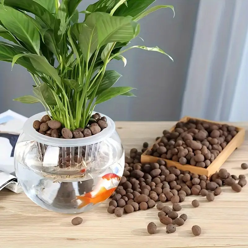 Bolas de terracota ligeras y t - Aquarium Plant reseña y precio