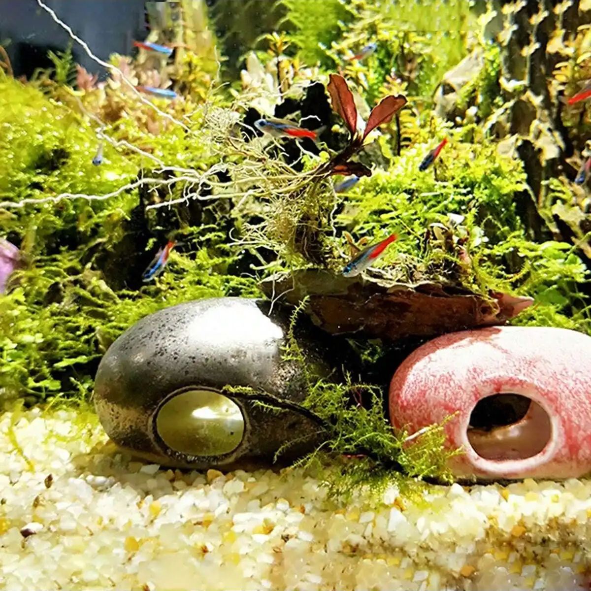 1 unidad-250g de cristales nat - Aquarium Plant Gravel reseña y precio