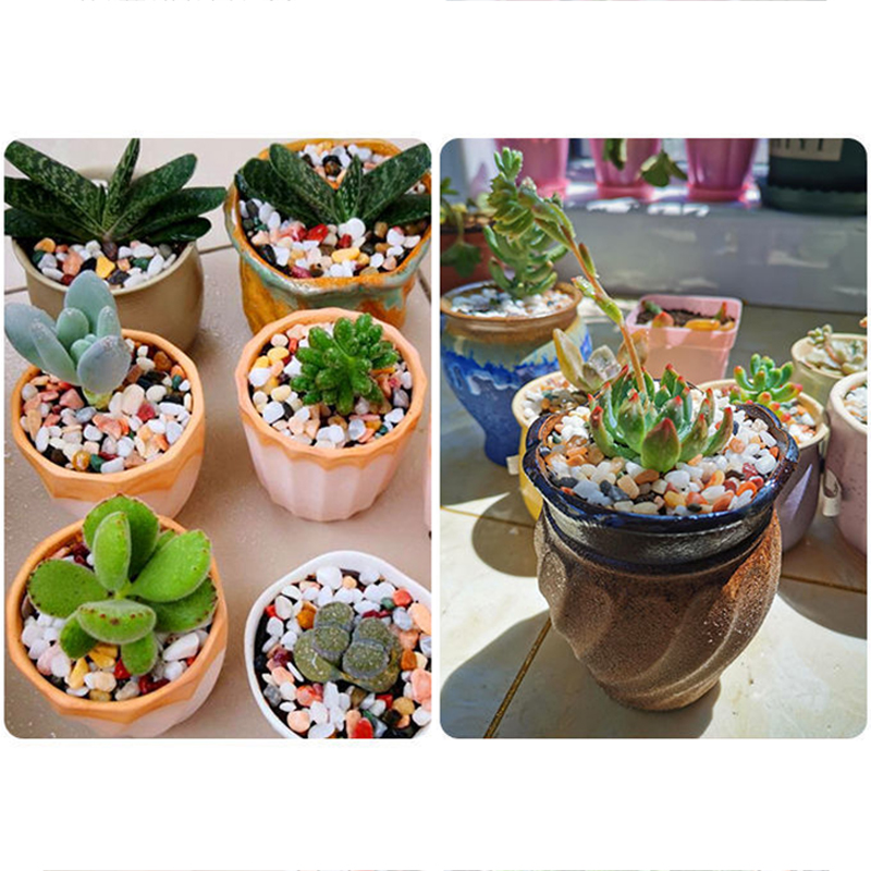 Arena natural para acuario de  - Aquarium Plant Gravel reseña y precio