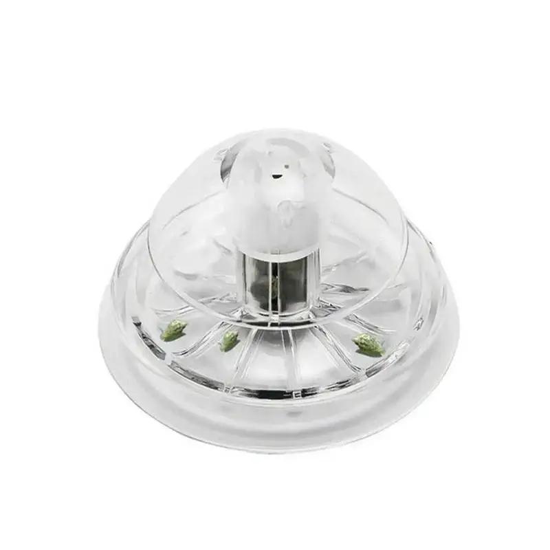 Nueva Trampa para Caracoles de - Aquarium Planted Tank reseña y precio