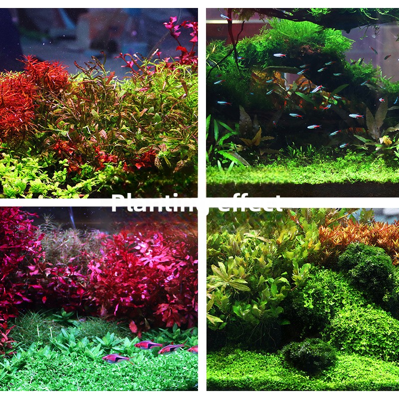 SYSENCIAGA-sustrato de acuario - Aquarium Plant Gravel reseña y precio