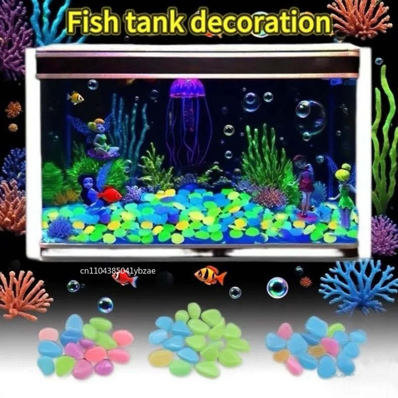 100-800 guijarros que brillan  - Aquarium Plant reseña y precio