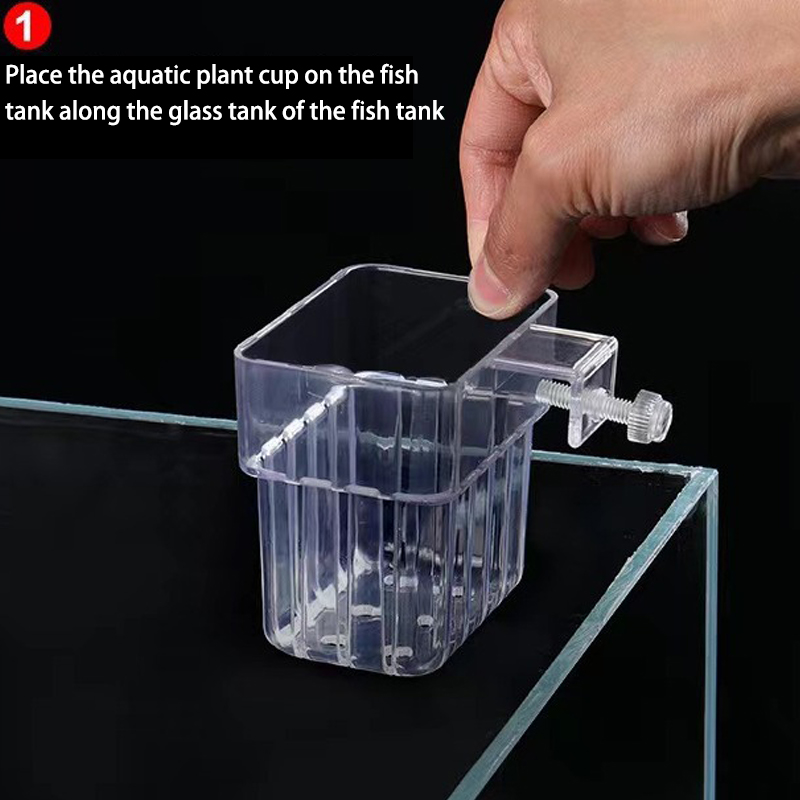 Taza de plantación de hierba d - Aquarium Planted Tank reseña y precio