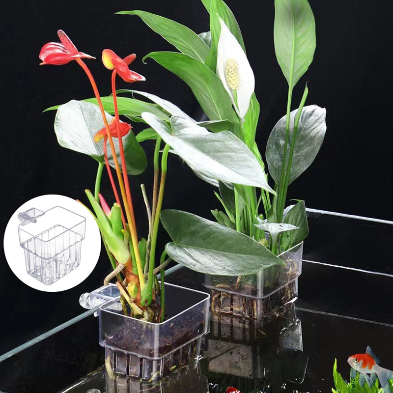 Taza de plantación de hierba d - Aquarium Planted Tank reseña y precio