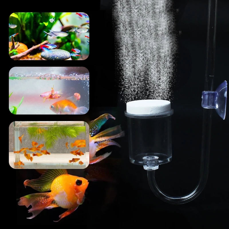Juego de 4 piezas de difusor d - Planted Aquarium Co2 Kit reseña y precio